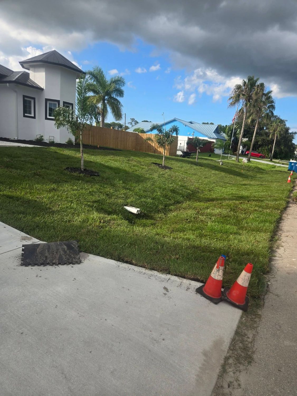 Fresh sod lawn with young palms in front of a new white home