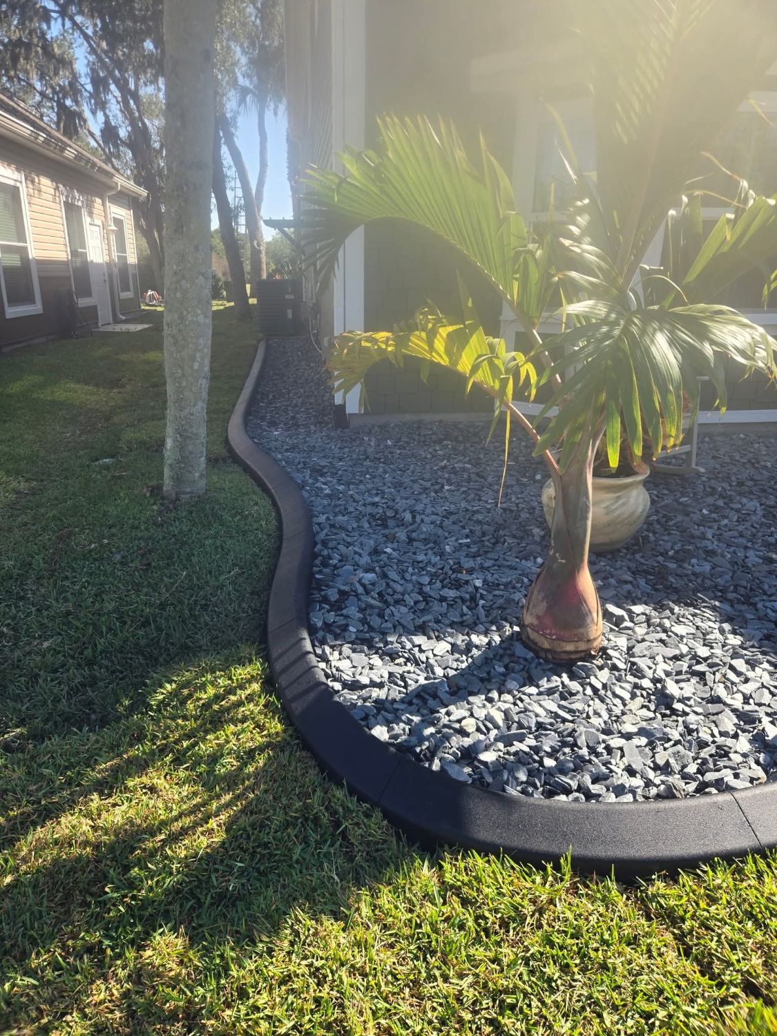 Gray slate rock bed with a curved black border around a potted palm