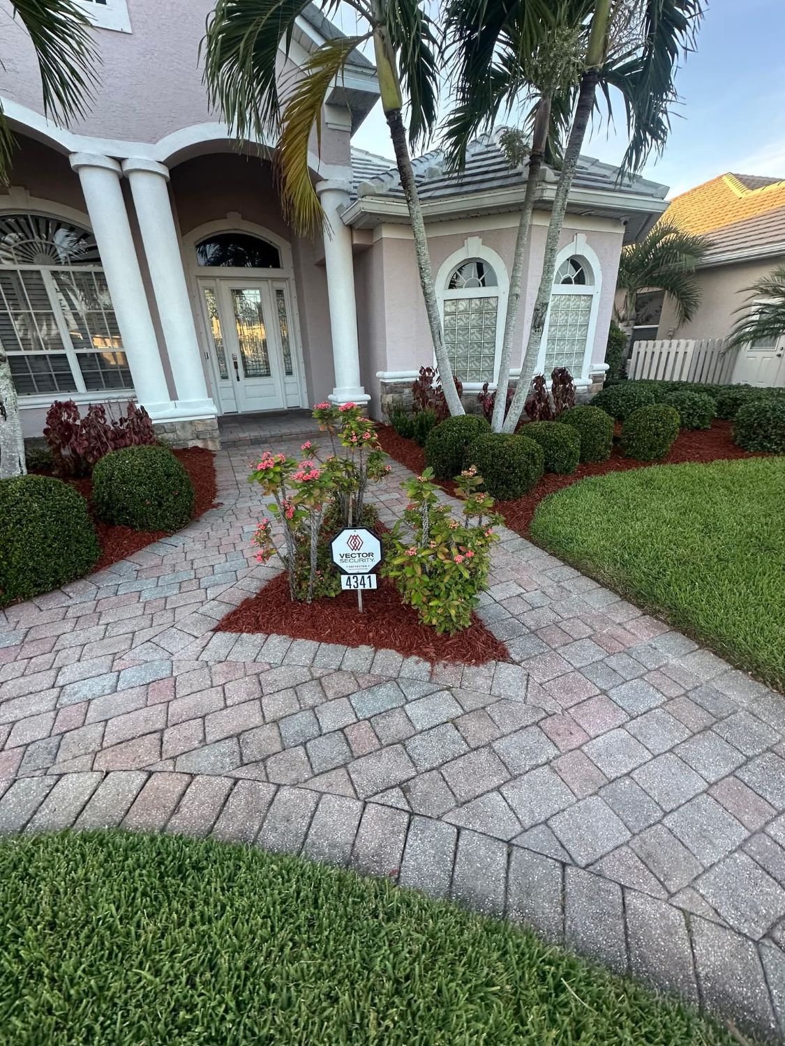 Brick paver entry walk with trimmed shrubs and red mulch